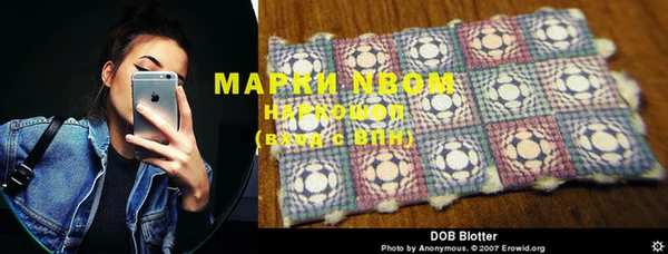 стафф Семикаракорск